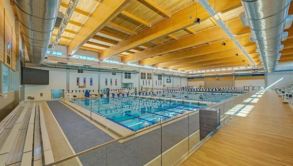 MCM Modified Clay Econic Clay Flexible Rock Panel Swimming Pool