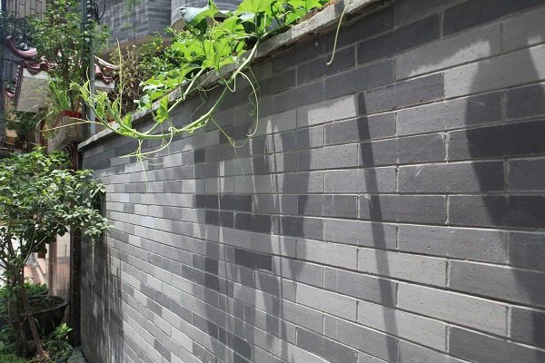 Phomi brick close shot