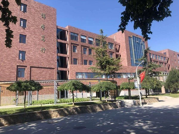 Phomi MCM Modified Clay Econic Clay School Wall Brick Tile Decorative